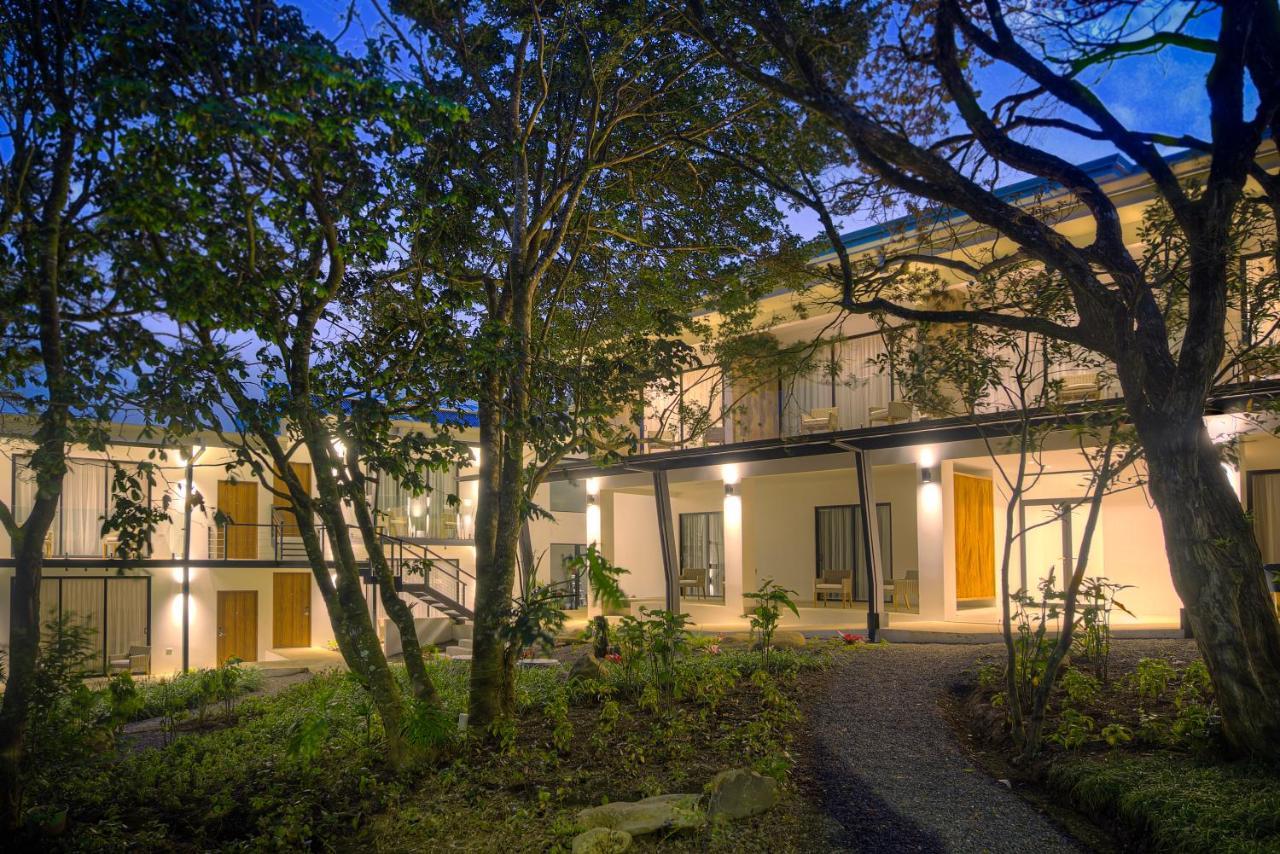 מונטה ורדה Ocotea Boutique Hotel מראה חיצוני תמונה
