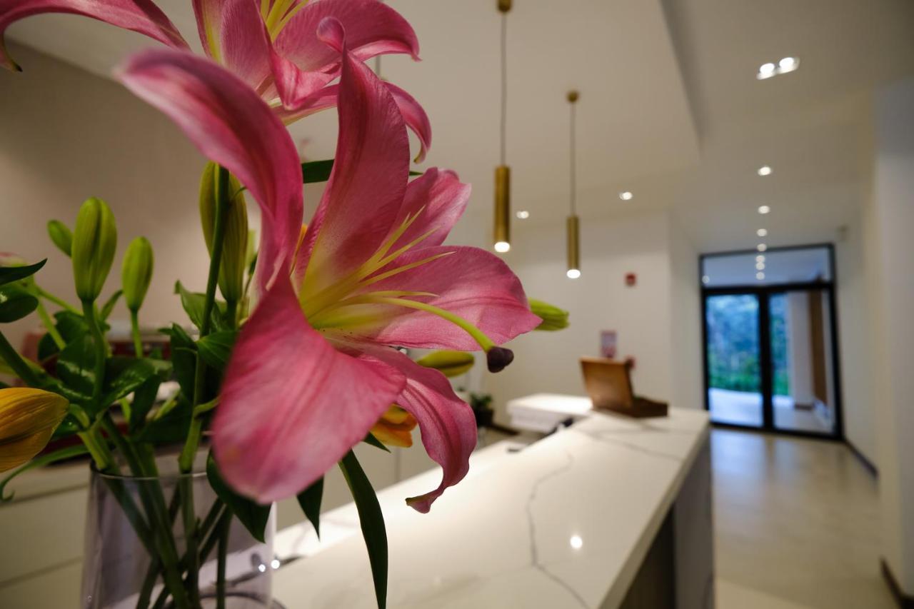 מונטה ורדה Ocotea Boutique Hotel מראה חיצוני תמונה